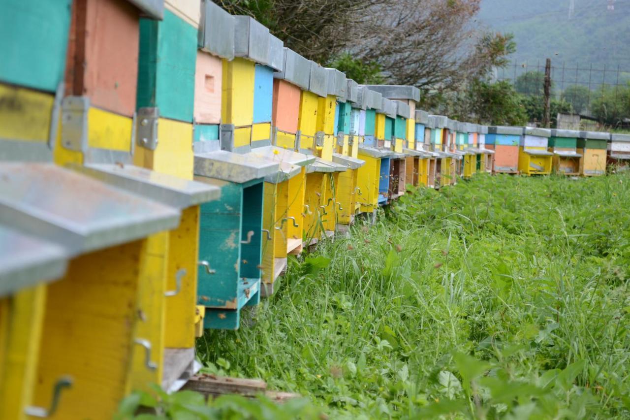 Agriturismo Dalla Natura La Salute Giustino Εξωτερικό φωτογραφία