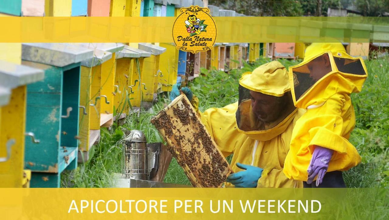 Agriturismo Dalla Natura La Salute Giustino Εξωτερικό φωτογραφία